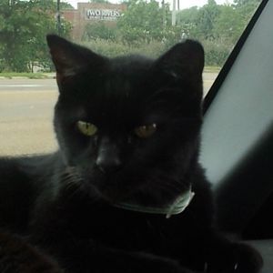 Meet your Posher, Denise